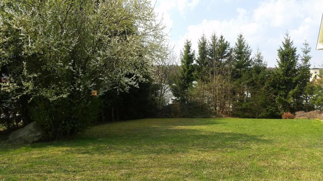 Lions Apartments - Erholung Und Vergnuegen In Bad Tatzmannsdorf Jormannsdorf Zewnętrze zdjęcie